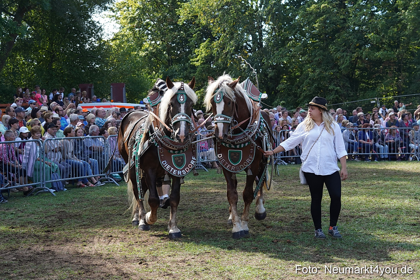 Pferde und Fohlenschau 2022 0181 